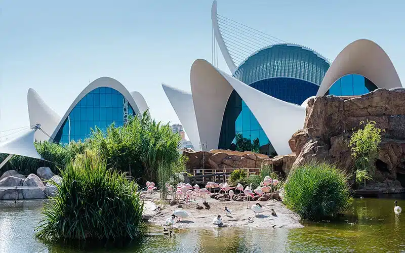 Places to visit in Spain4